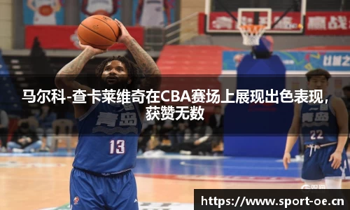 马尔科-查卡莱维奇在CBA赛场上展现出色表现，获赞无数